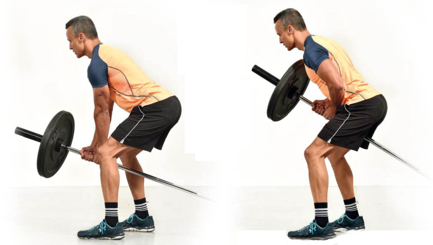 Fuerza y músculo con Landmine