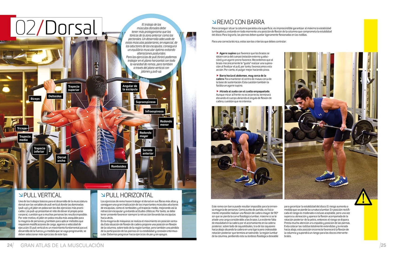 ¡Consigue tu Atlas de Musculación!