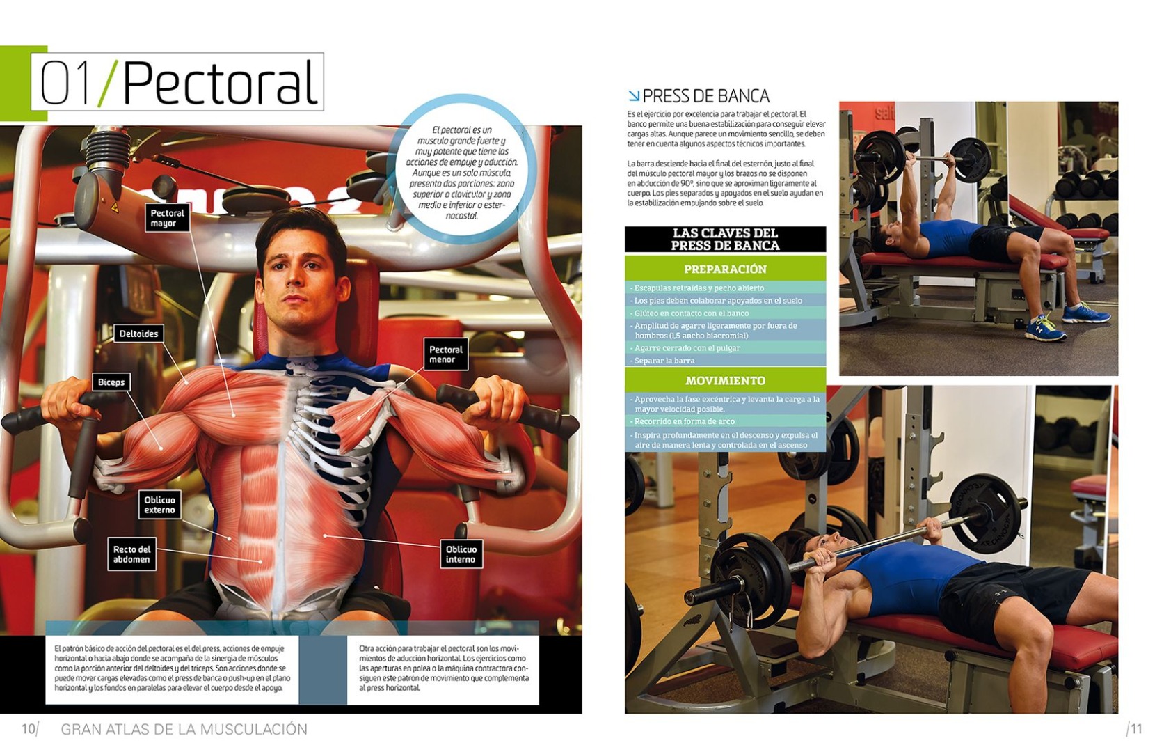 ¡Consigue tu Atlas de Musculación!