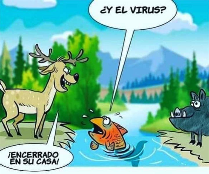 Límites históricos por baja contaminación en nuestras ciudades