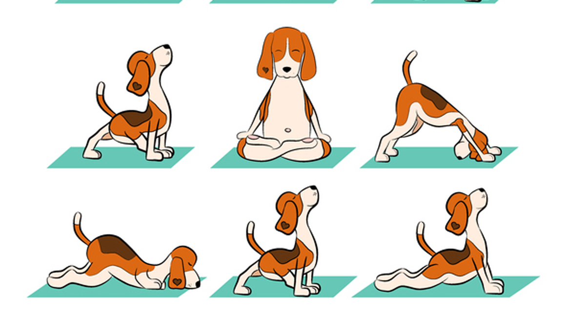 Llega la 3ª edición del Yoga Dog Day online