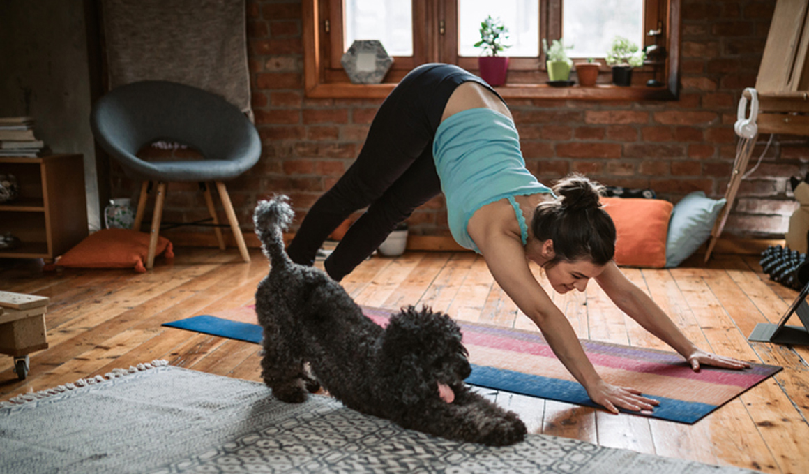 Llega la 3ª edición del Yoga Dog Day online