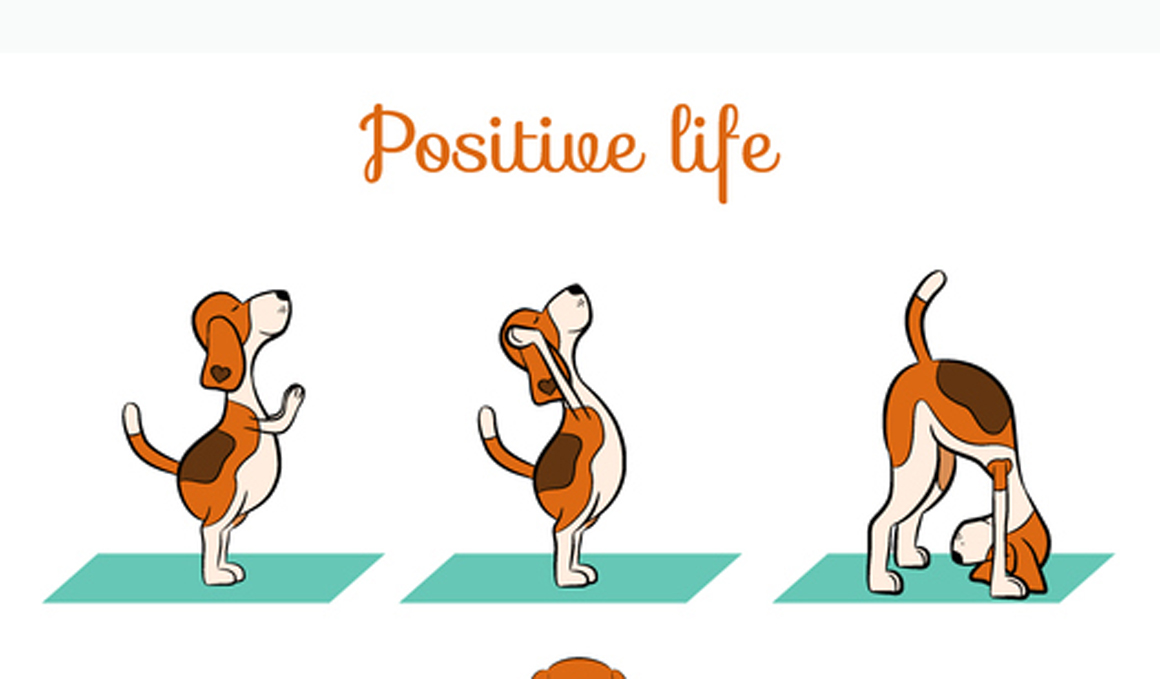 Llega la 3ª edición del Yoga Dog Day online
