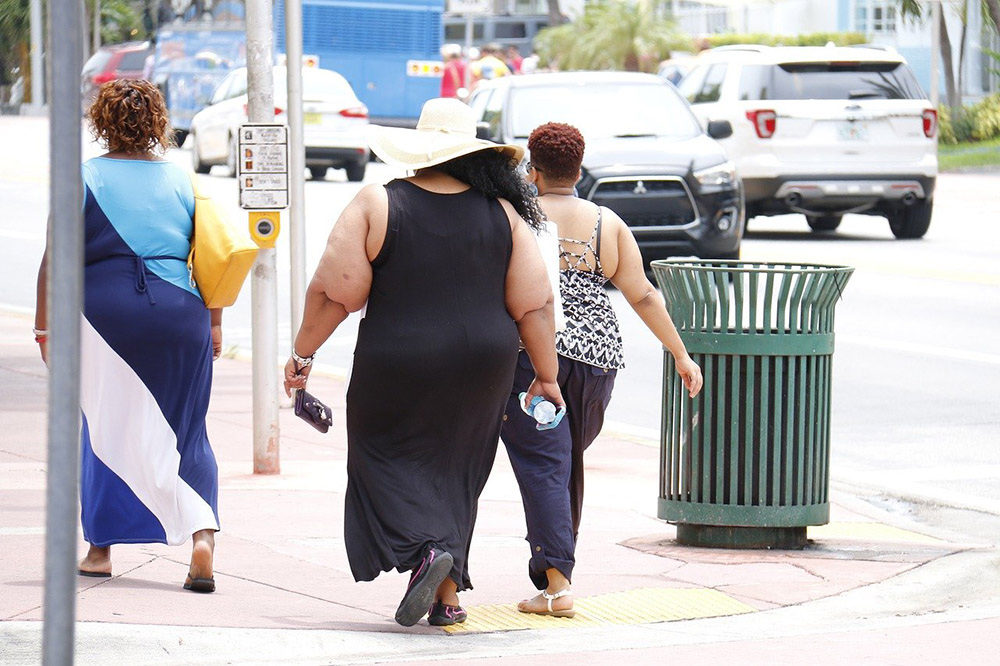 Alerta de la OMS sobre la obesidad
