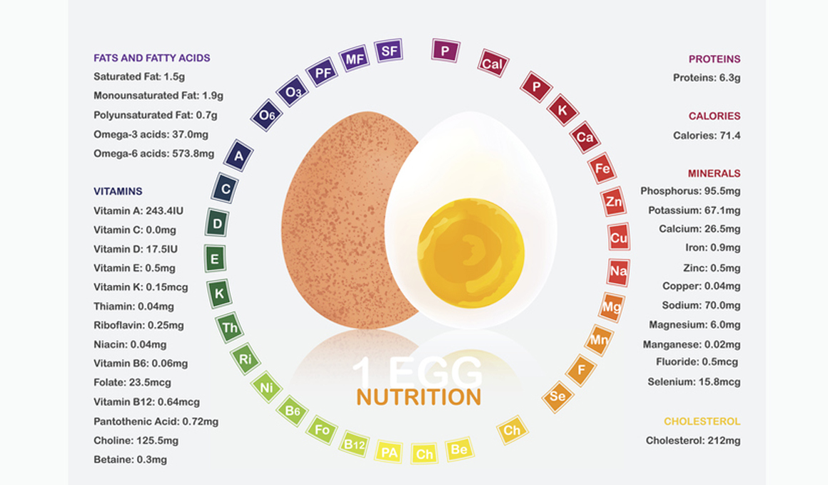 El huevo, un alimento muy sano y básico en tu alimentación