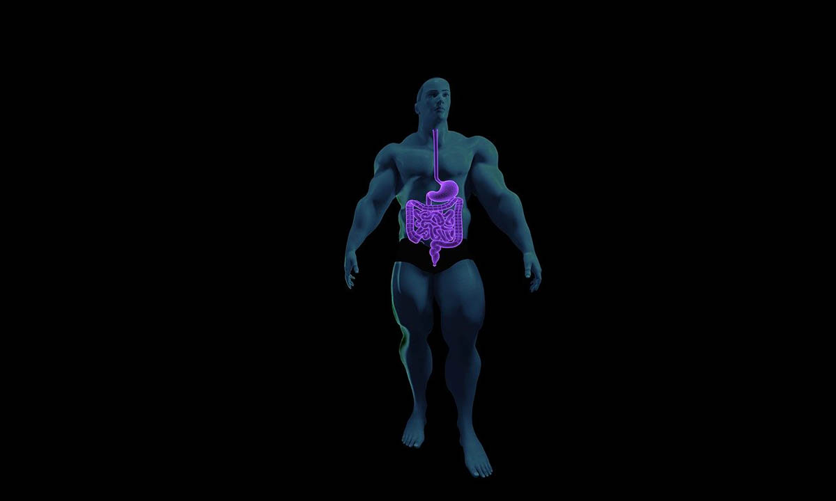 La microbiota contra el COVID-19