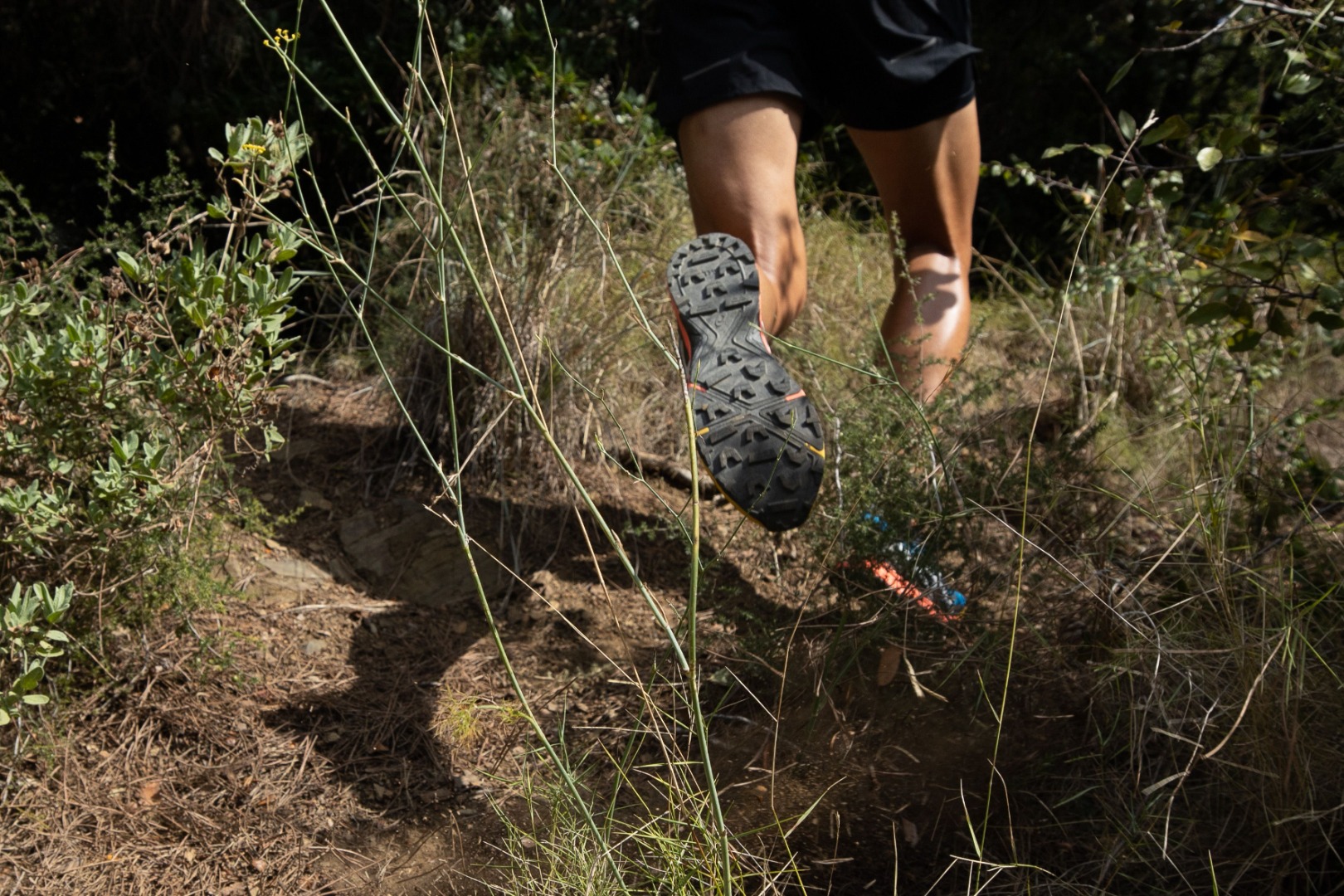 Así son las 4 nuevas Trabuco: el tope de gama de trail de asics