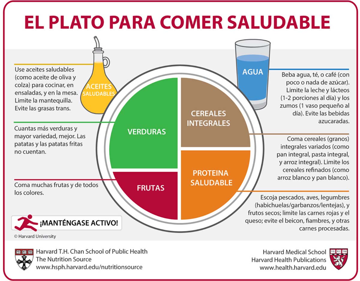 El “Plato de Harvard