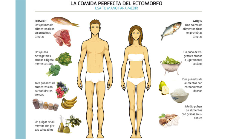 Qué debes comer conforme a tu biotipo